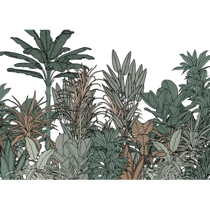 Komar photo murale Doodle plants color 350x250cm 2
