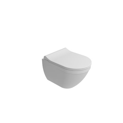 Van Marcke hangtoilet Perl wit | Soft-close & Quick release toiletzitting | Randloos toiletpot
