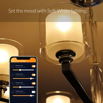 AduroSmart ERIA® startpakket, 2 Warm Witte lampen en hub 6