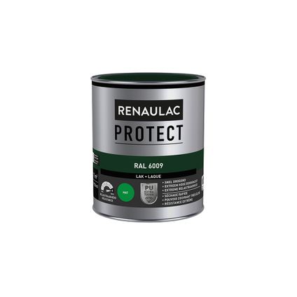 Laque Renaulac Protect RAL6009 mat 750ml