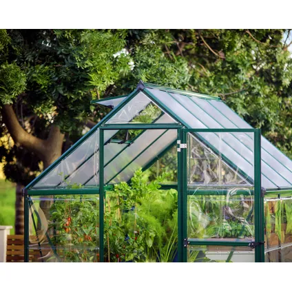 Palram | Canopia - Serre de jardin Hybrid - Vert - 247x185x208cm 3