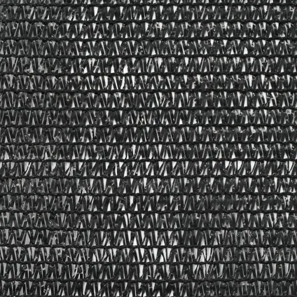 VidaXL tennisscherm 1x100m HDPE zwart 2