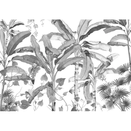 Komar photo murale Croissances Monochrome 400x280cm 2
