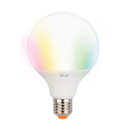 Ampoule LED iDual G100 E27 12W