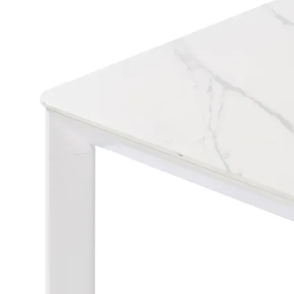 Table de jardin Central Park Ciotat céramique verre/aluminium 205x100x75cm 6