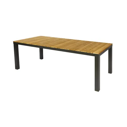 Table de jardin Central Park Limoux teck/aluminium 215x100cm 2