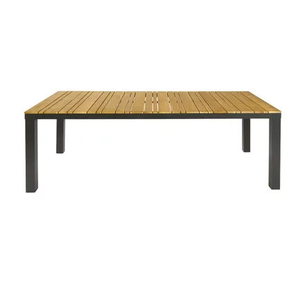 Table de jardin Central Park Limoux teck/aluminium 215x100cm 3