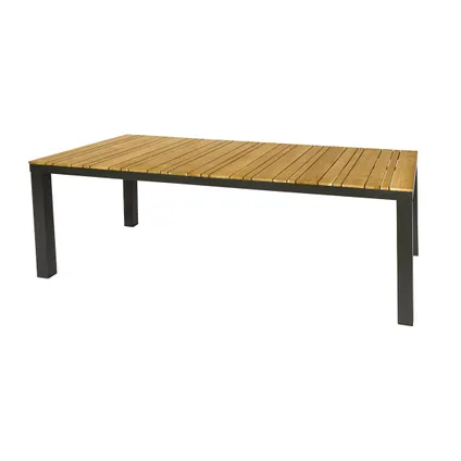 Table de jardin Central Park Limoux teck/aluminium 215x100cm 4