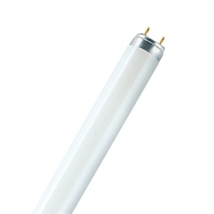 Tube fluorescent Osram Lumilux T8 blanc froid G13 15W