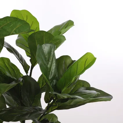 Plante artificielle Mica Decorations Lyrata - 60x60x120 cm - Vert 3