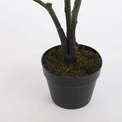 Plante artificielle Mica Decorations Lyrata - 60x60x120 cm - Vert 4