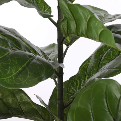 Plante artificielle Mica Decorations Lyrata - 60x60x120 cm - Vert 5