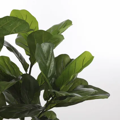 Plante artificielle Mica Decorations Lyrata - 60x60x120 cm - Vert 6