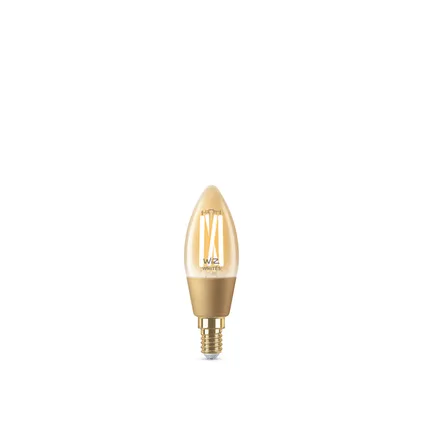 Ampoule LED à incandescence intellligente Philips C35 ambre E14 4,9W 8