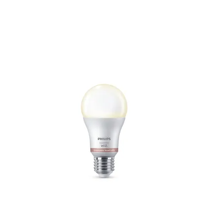 Ampoule LED intelligente Philips A60 blanc chaud E27 8W 8