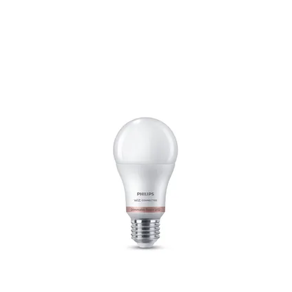 Ampoule LED intelligente Philips A60 blanc chaud E27 8W 9