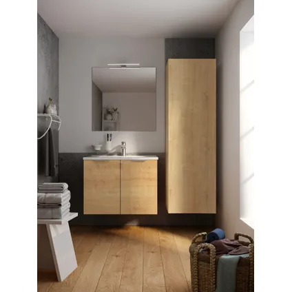 Ensemble meuble de salle de bains Euro Pack Allibert avec 2 portes chêne arlington 2