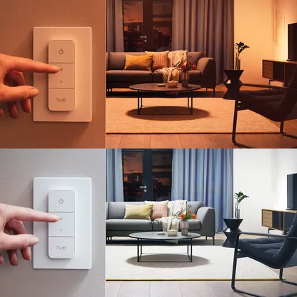 Philips Hue hanglamp Explore wit ⌀18,1cm E27 6W met Hue Dimmer switch 4