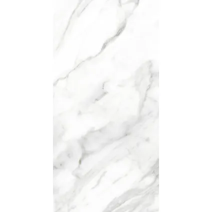 Wand- en vloertegel Loop Marmo Bianco - Keramiek - Wit - 30x60cm - Pakketinhoud 1,51m² 5