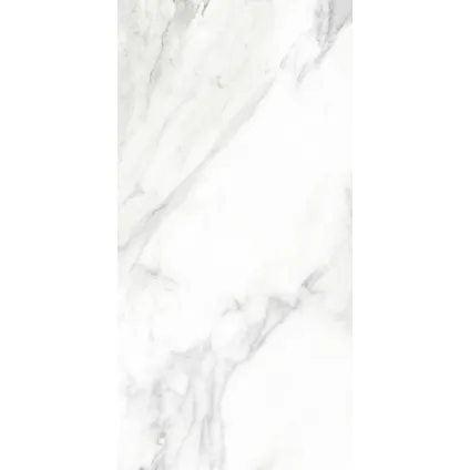 Wand- en vloertegel Loop Marmo Bianco - Keramiek - Wit - 30x60cm - Pakketinhoud 1,51m² 6