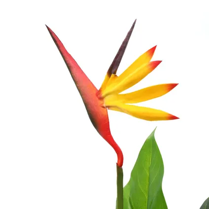VidaXL kunstplant paradijsvogelbloem + pot groen-rood-geel 66cm 2