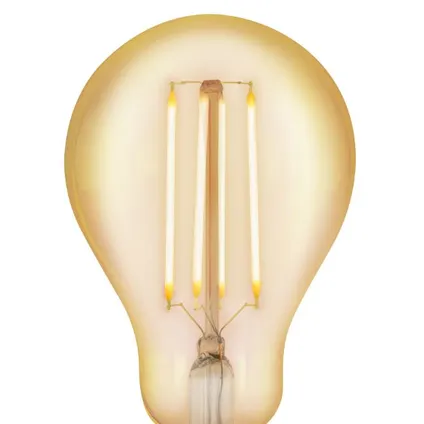 Ampoule à filament LED EGLO Classic A75 ambre E27 4W 3