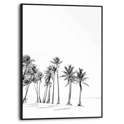 Schilderij Palmboom zwart-wit 30x40cm