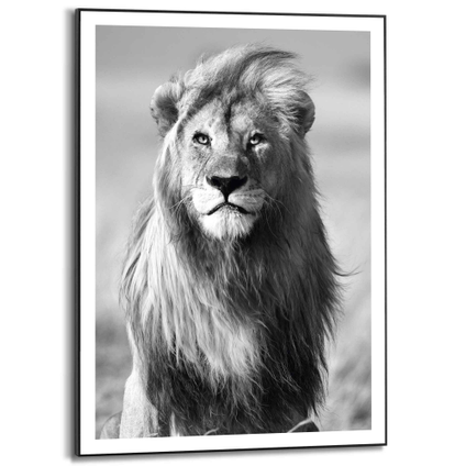 Schilderij Leeuw zwart-wit 50x70cm