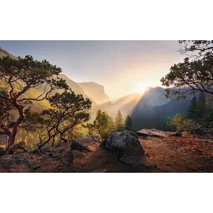 Komar fotobehang Yosemites Secret 2