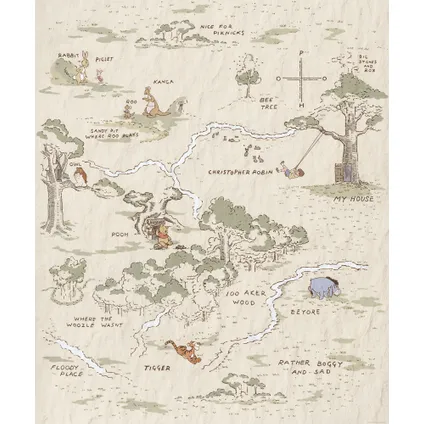 Komar wandfoto Winnie the Pooh Map 2