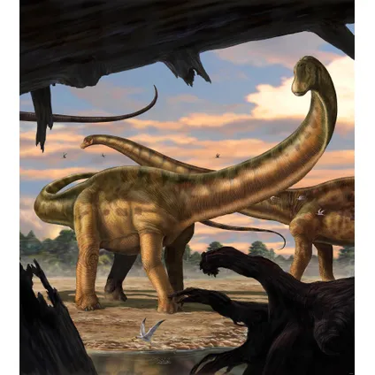 Komar fotobehang Seismosaurus 2