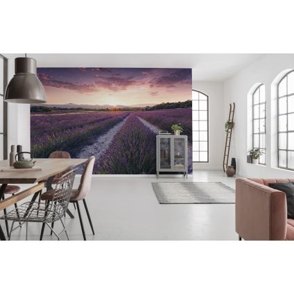 Komar fotobehang Lavender Dream 450x280cm