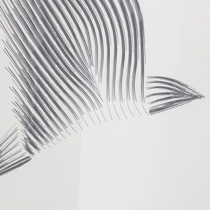 Rideau de douche Sealskin Birds 180x200cm polyester noir/ blanc 5