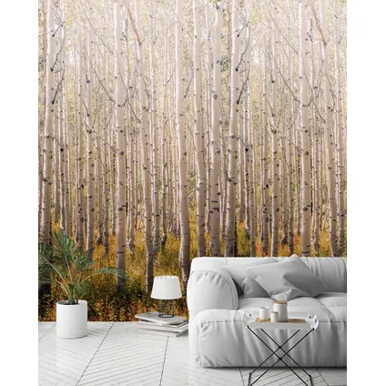 Vliesbehang mural Birch Tree beige A42601 2