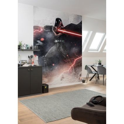 Komar muurfoto Star Wars Dark Forces 200x280cm