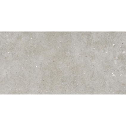 Carrelage sol et mur Glamstone - Céramique - Gris - 120x60cm - Contenu de l'emballage 1,43m².