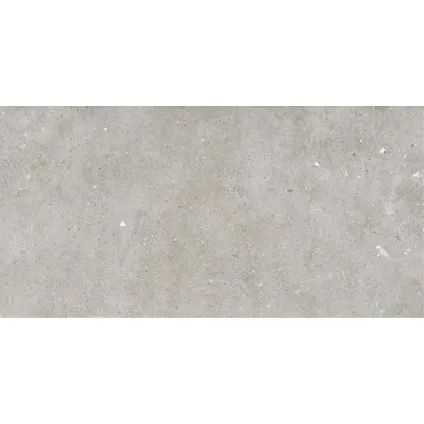 Carrelage sol et mur Glamstone - Céramique - Gris - 120x60cm - Contenu de l'emballage 1,43m².