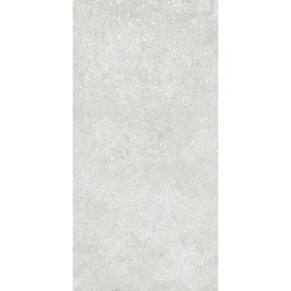 Wand- en vloertegel Sight - Keramiek - Grijs - 30x60,4cm - Pakketinhoud 1,49m² 3