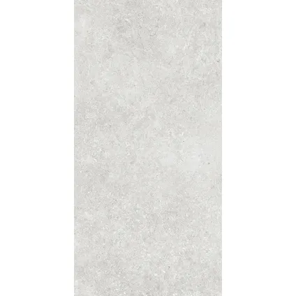 Wand- en vloertegel Sight - Keramiek - Grijs - 30x60,4cm - Pakketinhoud 1,49m² 4
