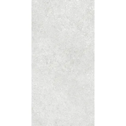 Wand- en vloertegel Sight - Keramiek - Grijs - 30x60,4cm - Pakketinhoud 1,49m² 5