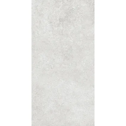 Wand- en vloertegel Sight - Keramiek - Grijs - 30x60,4cm - Pakketinhoud 1,49m² 6
