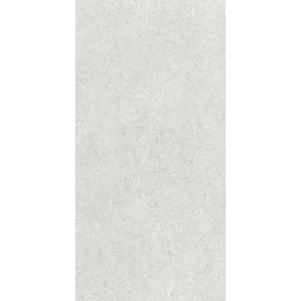 Wand- en vloertegel Sight - Keramiek - Grijs - 30x60,4cm - Pakketinhoud 1,49m² 7