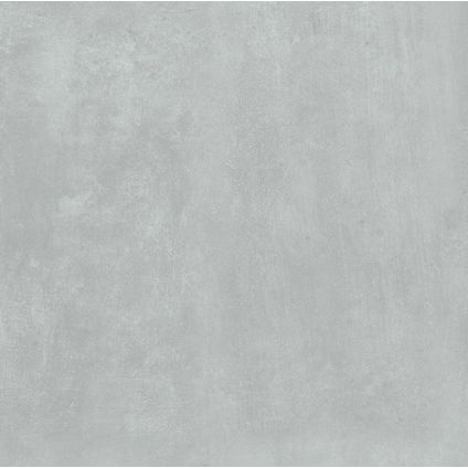 Wand- en vloertegel Oasis - Keramiek - Grijs - 60x60cm - Pakketinhoud 1,08m²