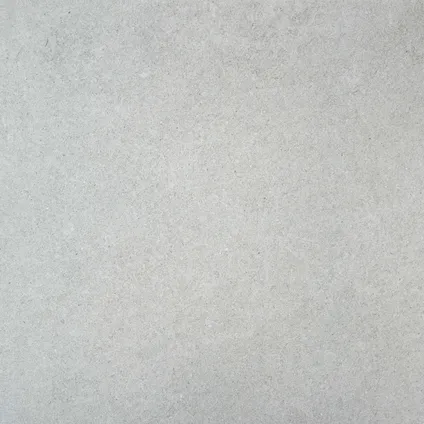 Ceramica vloertegel Erawan grijs 60x60cm