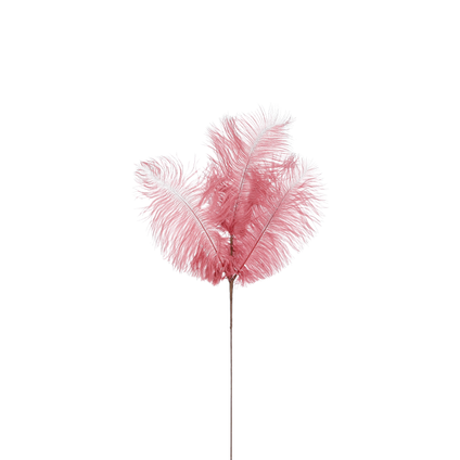 Pique plumes rose sombre - l61xb20cm