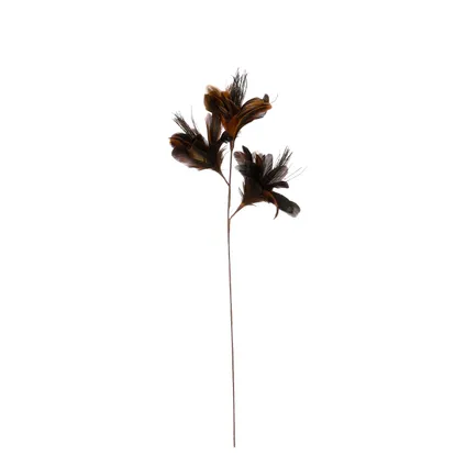 Décoration de Noël Decoris plume marron 61x18cm