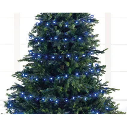 Guirlande lumineuse Compact Twinkle 1000 LED vertes/bleues 22.5m 2