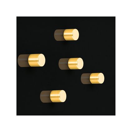 Sigel magneten SuperDym C5 Strong Cilinder-design goud 5 stuks