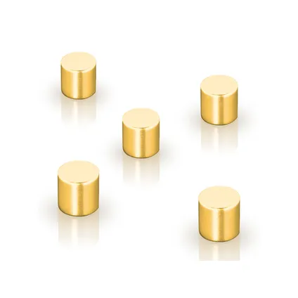 Sigel magneten SuperDym C5 Strong Cilinder-design goud 5 stuks 6