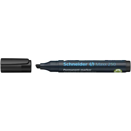 Marqueur permanent Schneider Maxx 250 avec pointe biseautée noir 2